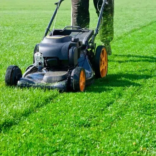 grass-cutting-service-500x500