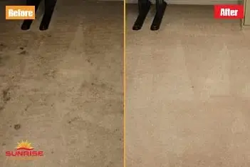 cleaning