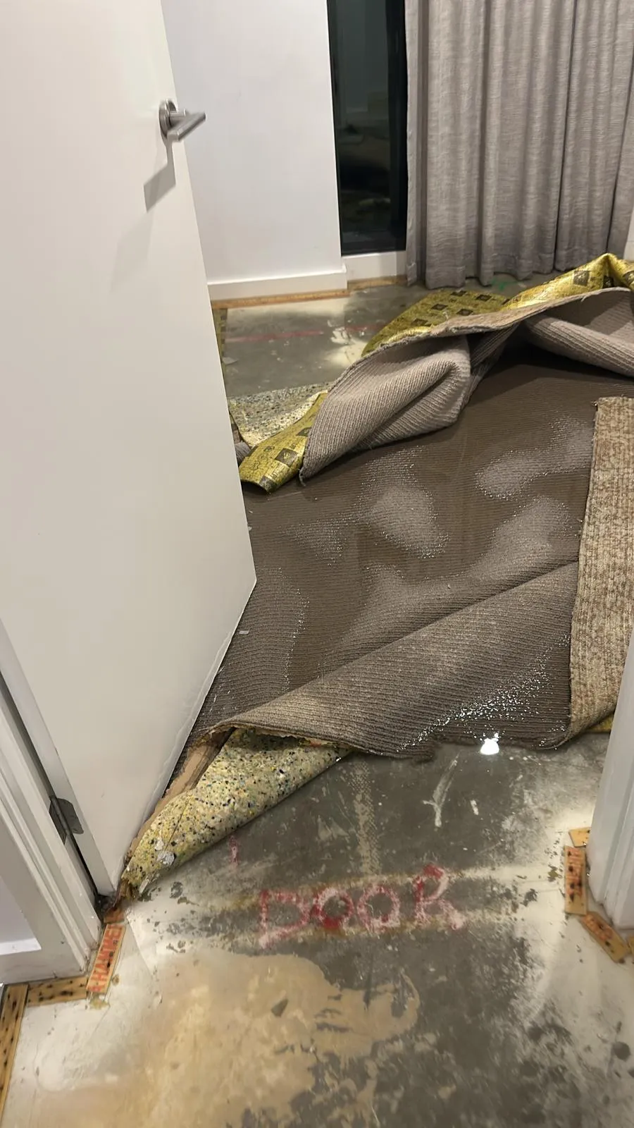 carpet