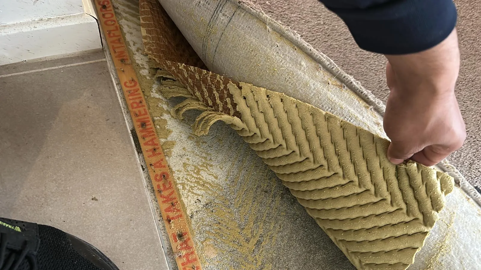 carpet