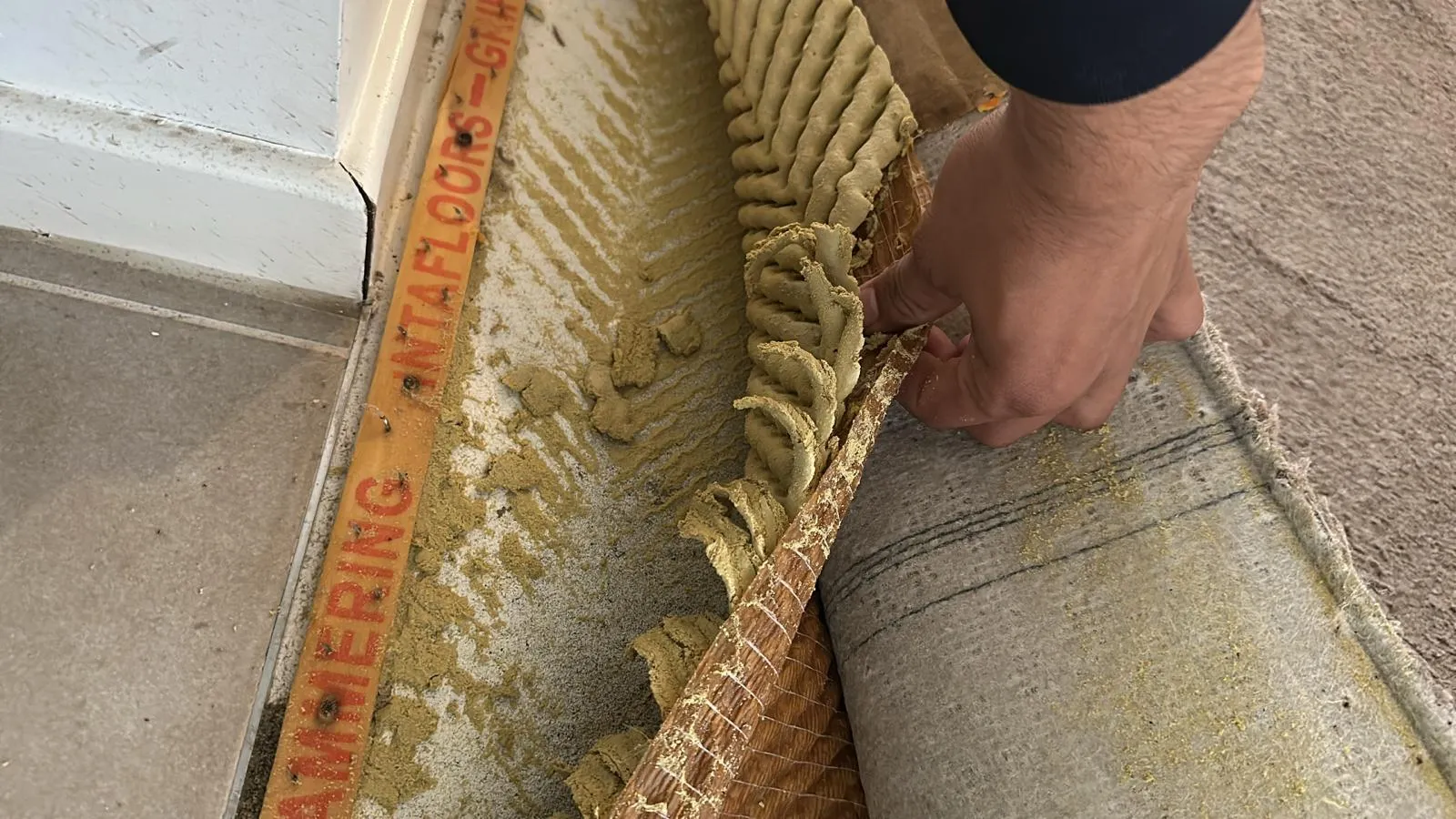 carpet
