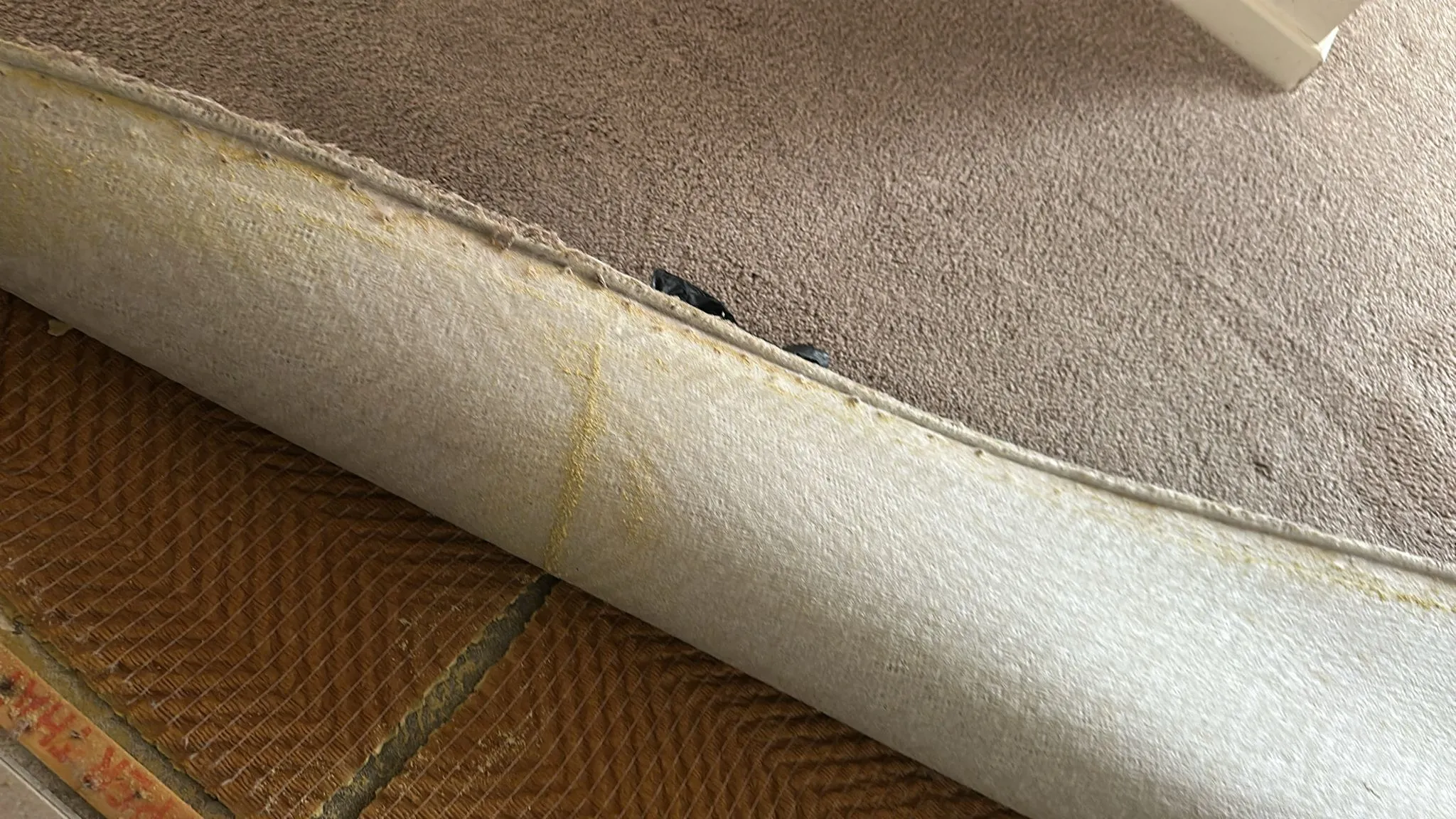 carpet