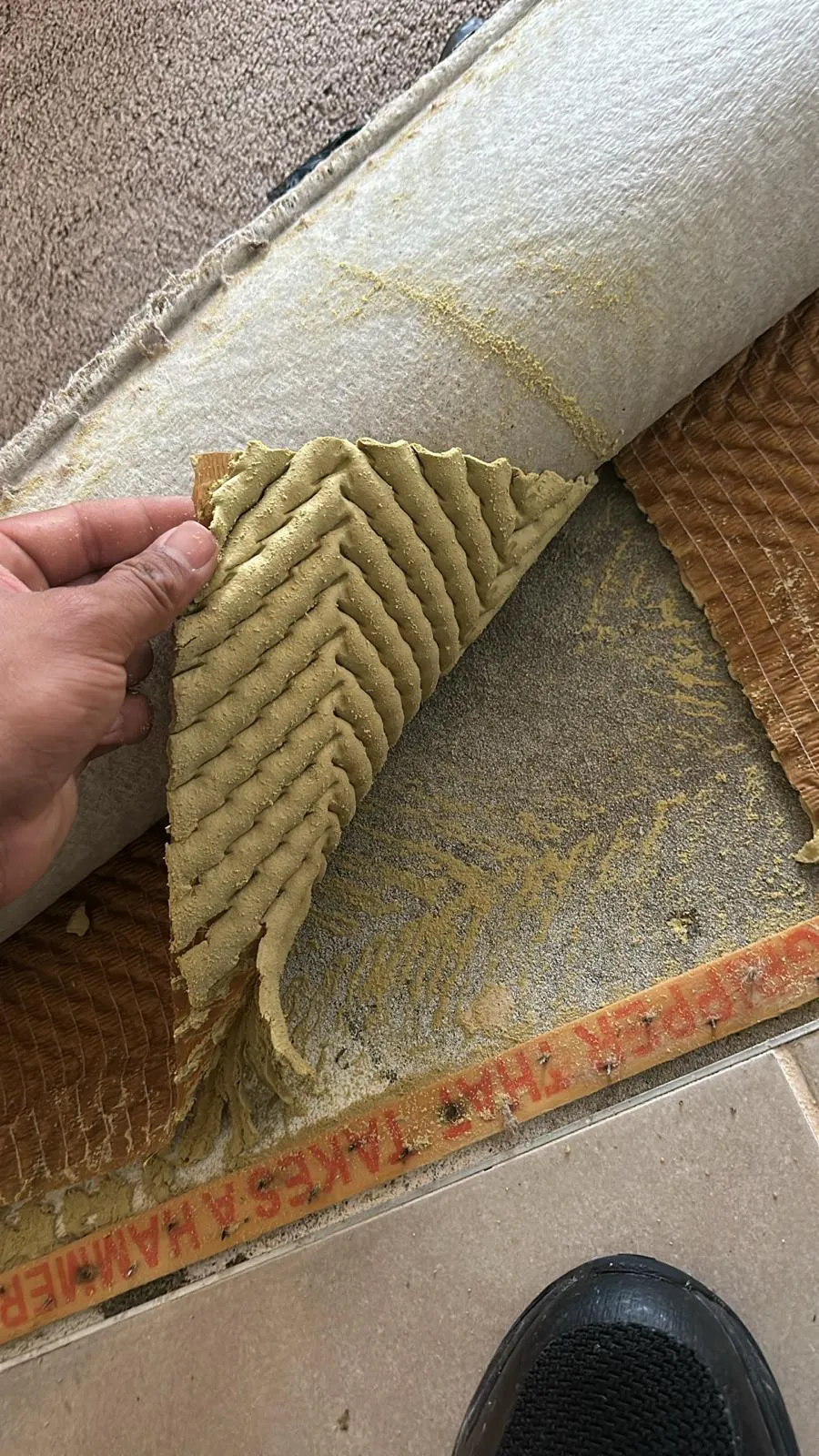 carpet