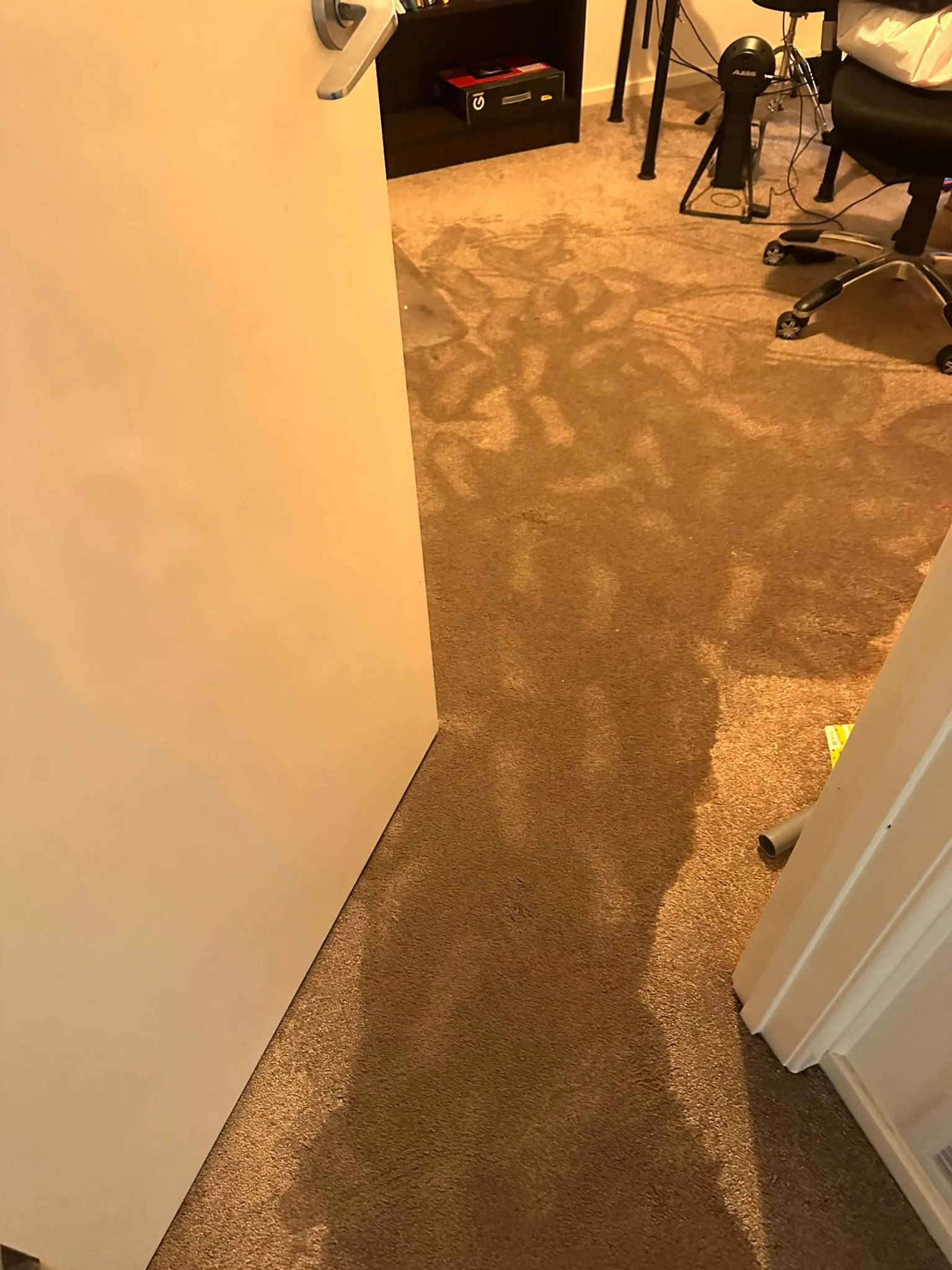 carpet