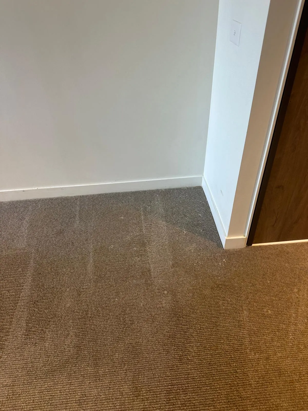 carpet