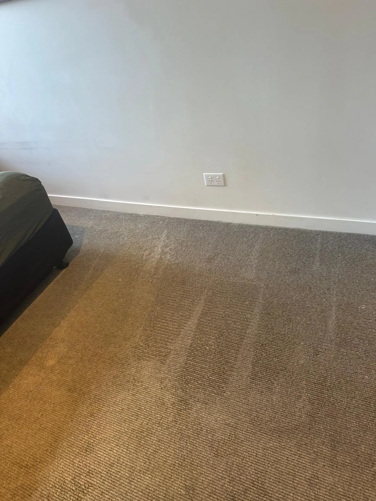carpet