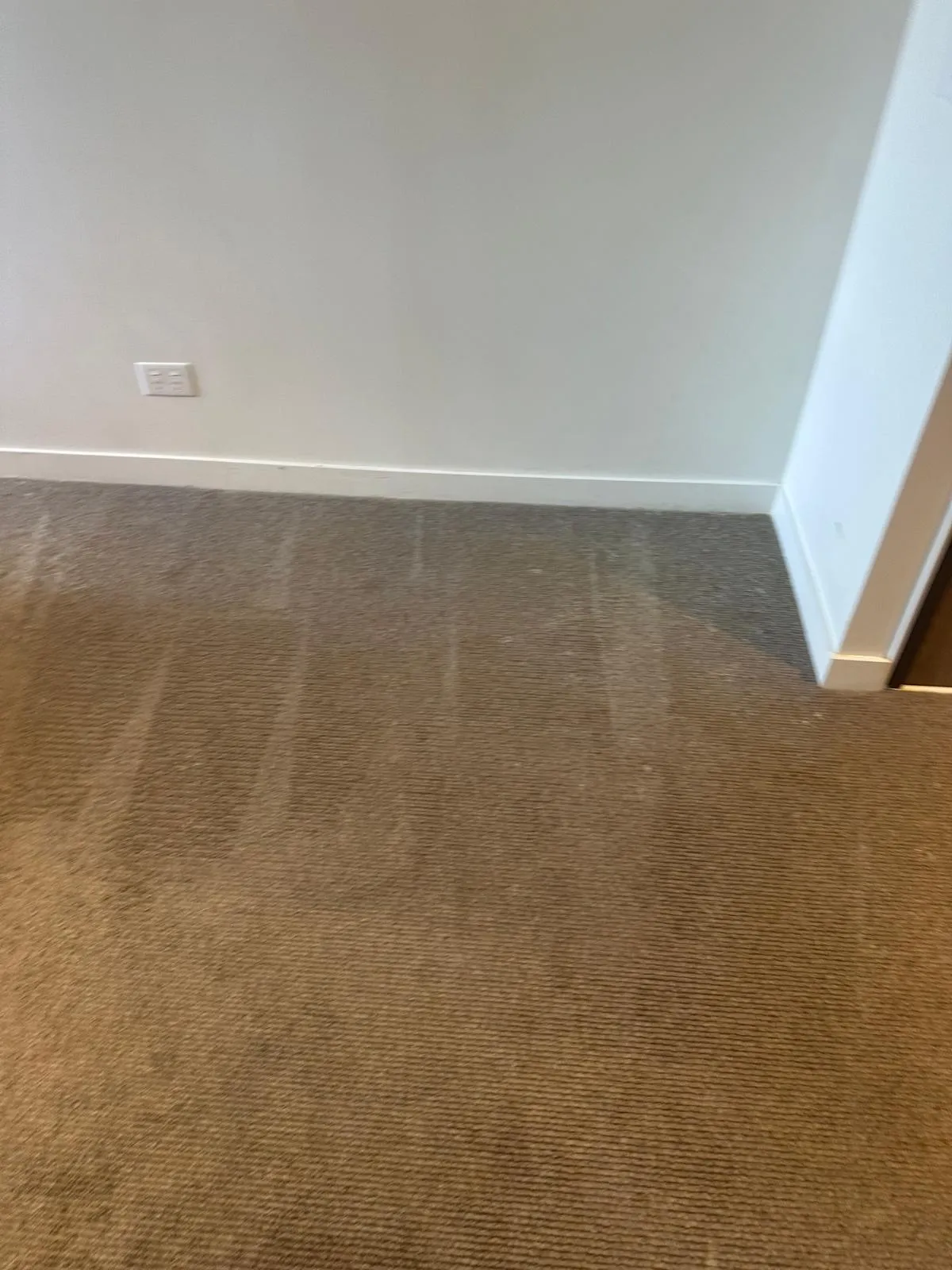 carpet