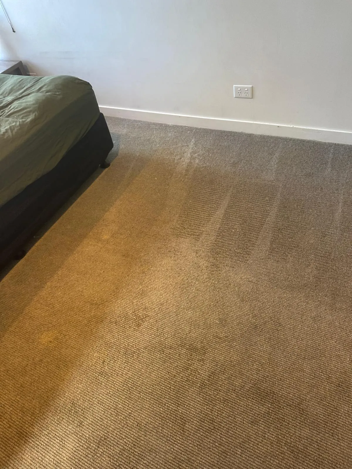 carpet