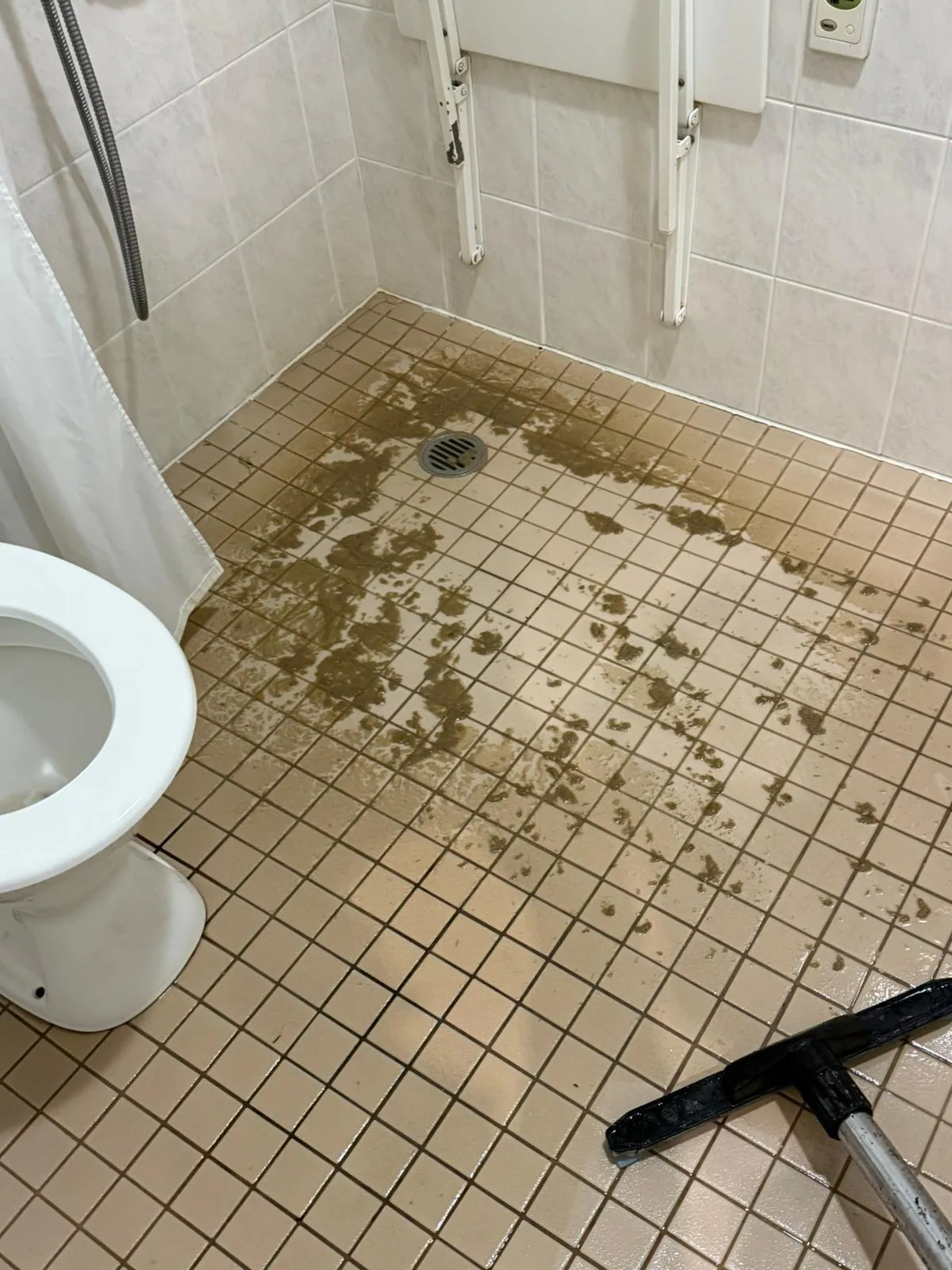 carpet