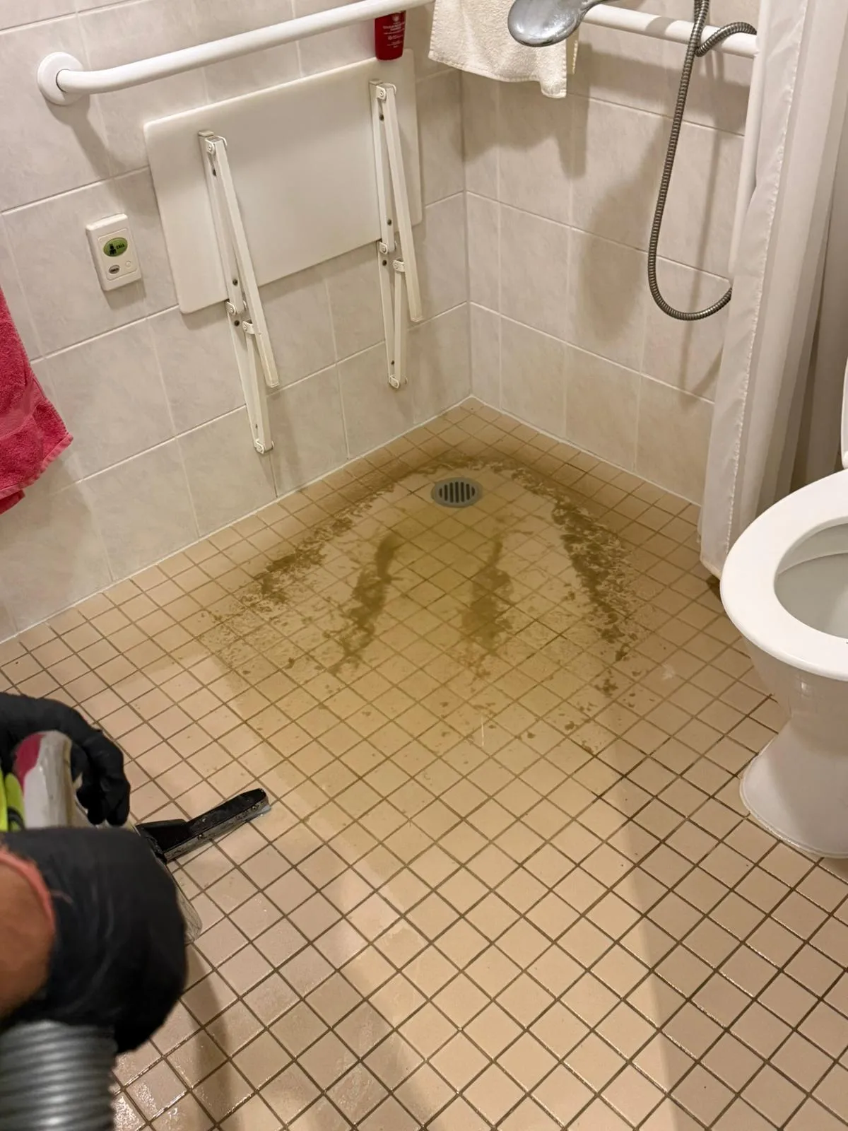 carpet