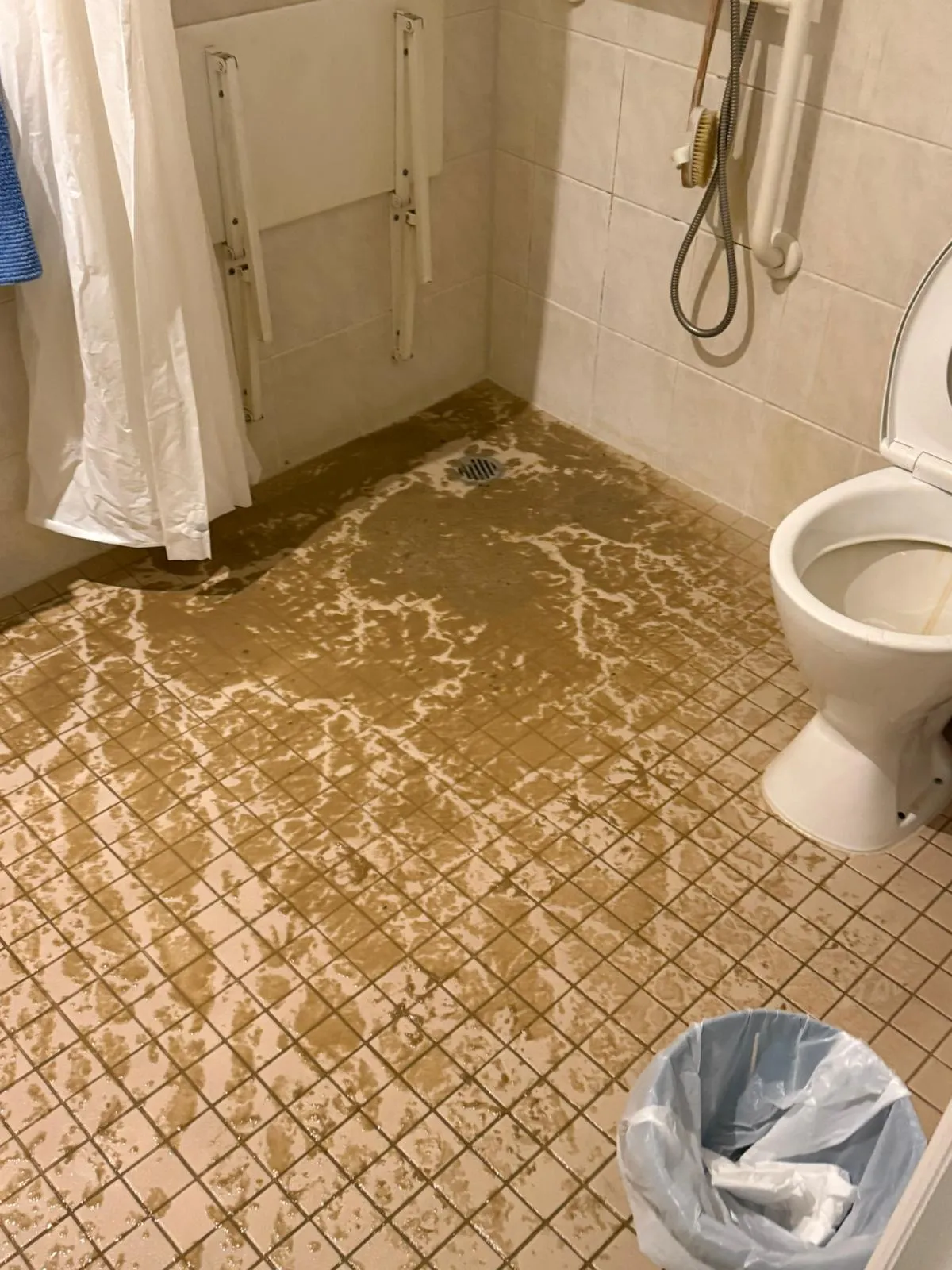 carpet